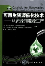 可再生资源催化技术  从资源到能源生产