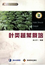 叶类蔬菜栽培