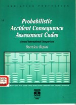 PROBABILISTIC ACCIDENT CONSEQUENCE ASSESSMENT CODES