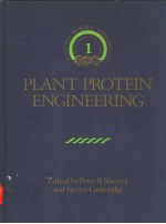 PLANT PROTEIN ENGINEERING