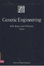 SYMPOSIA OF THE GIOVANNI LORENZINI FOUNDATION VOLUME 2 GENETIC ENGINEERING