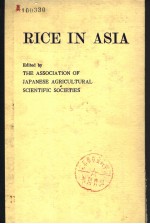 RICE IN ASIA