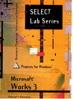 MICROSOFT WORKS 3 PROJECTS FOR WINDOWS