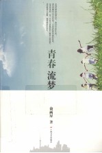 青春流梦