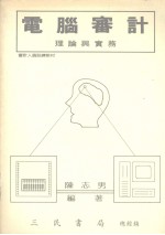 电脑审计理论与实务