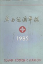 广西经济年鉴  1985