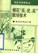 棉花“高、优、高”栽培技术