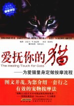 爱抚你的猫 为爱猫量身定做按摩流程