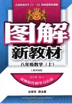 图解新教材 数学 八年级 上 人教实验版