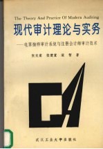 现代审计理论与实务 电算抽样审计系统与注册会计师审计技术