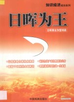 风云2006系列丛书 日晖为王