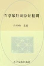 石学敏中医技法临证精讲丛书  石学敏针刺临证精讲