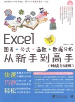 Excel图表·公式·函数·数据分析从新手到高手 畅销升级版