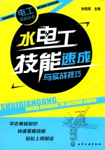 电工实战丛书  水电工技能速成与实战技巧