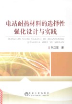 电站耐热材料的选择性强化设计与实践