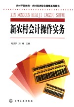 农村干部教育·农村经济综合管理系列图书  新农村会计操作实务