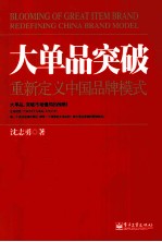 大单品突破  重新定义中国品牌模式