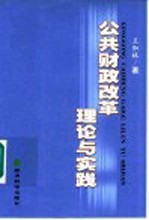 公共财政改革：理论与实践