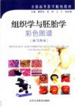 组织学与胚胎学彩色图谱  实习用书