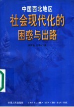 中国西北地区社会现代化的困惑与出路