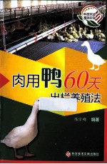 肉用鸭60天出栏养殖法