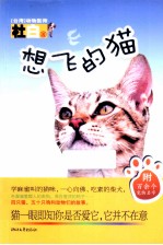 想飞的猫