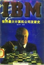 硬件之王CI之父-IBM 世界最大计算机公司发家史