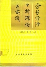 企业经济分析理论与实践