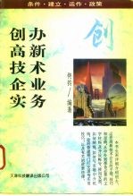 创办高新技术企业实务 条件·建立·运作·政策