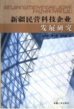 新疆民营科技企业发展研究