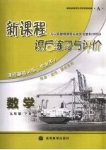 新课程课后练习与评价 数学 九年级 下