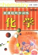 初中新课程同步训练 化学 九年级 下 初中版