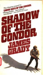 SHADOW OF THE CONDOR