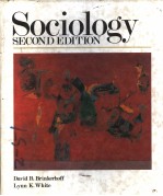 SOCIOLOGY SECOND EDITION