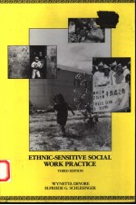 ETHNIC-SENSITIVE SOCIAL WORK PRACTICE THIRD EDITION