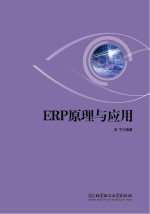 ERP原理与应用