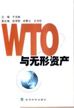 WTO与无形资产