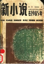 新小说在1985年