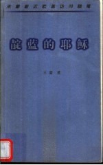 靛蓝的耶稣 王蒙新近欧美访问随笔