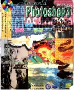 Macworld Photoshop 3 Bible实用全书 第2版