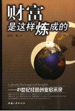 财富是这样炼成的 21世纪经营创业启示录