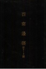 亚洲民族考古丛刊 第四辑 西南边疆 第9期