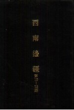 亚洲民族考古丛刊 第四辑 西南边疆 第10期