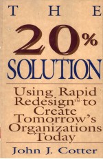 THE 20% SOLUTION