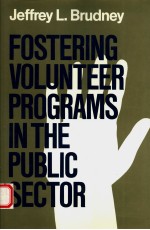 FOSTERING VOLUNTEER PROGRAMS IN THE PUBLIC SECTOR:PLANNING