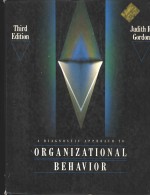 A DIAGNOSTIC APPROACH TO ORGANIZATIONAL BEHAVIOR THIRD EDITION