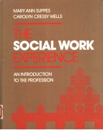 THE SOCIAL WORK EXPERIENCE AN INTRODUCTION TO THE PROFESSION