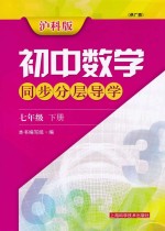 初中数学同步分层导学  七年级  下  供广西  沪科版