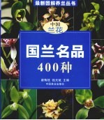 国兰名品400种