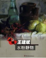 名师王建斌水粉静物